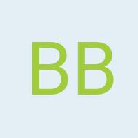 Avatar Bernard Borie